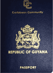 Guyanese passport image